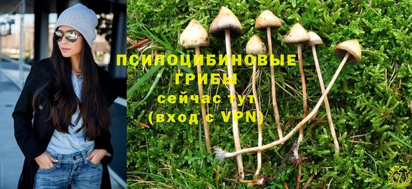 гидропоника Аркадак