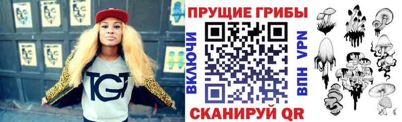 Псилоцибиновые грибы Psilocybe  Тобольск 